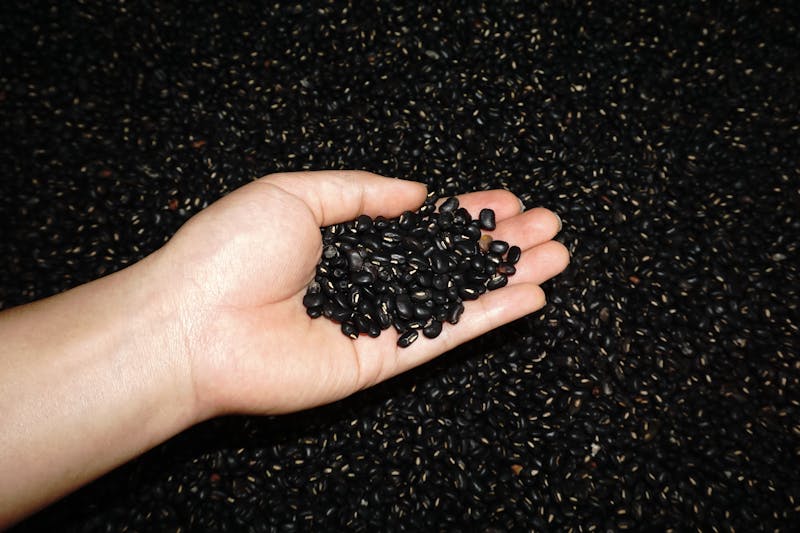 Southwest Veggie Power Salad